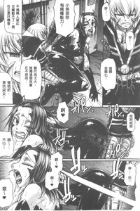 第202頁圖