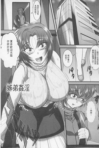 第146頁圖