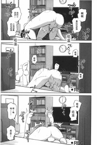 第194頁圖