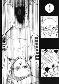 第10頁圖