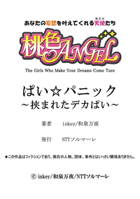 第26頁圖