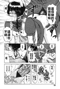 第182頁圖