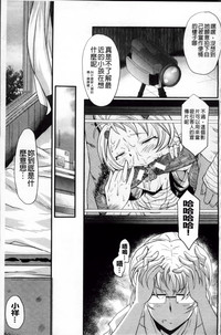 第142頁圖