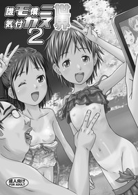 第2頁圖