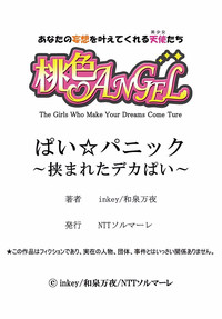 第26頁圖