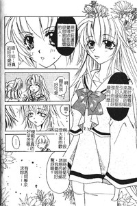 第102頁圖