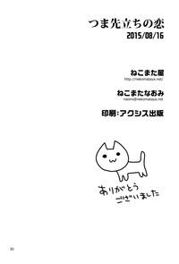 第30頁圖
