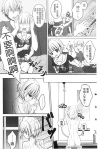 第146頁圖