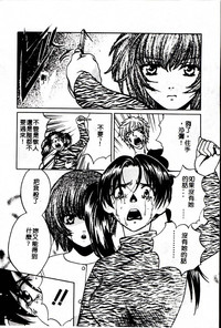第142頁圖