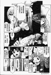 第118頁圖