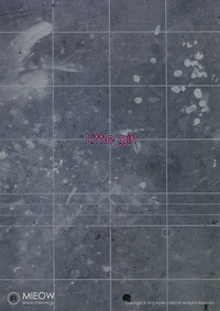第30頁圖