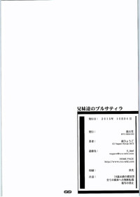 第22页图