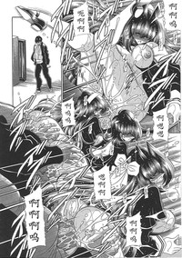 第206頁圖