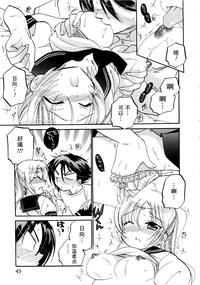 第46頁圖