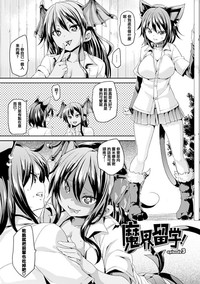 第42頁圖