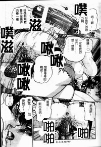 第50頁圖