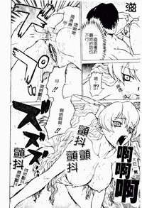 第146頁圖