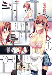 第250頁圖