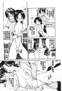 第50頁圖