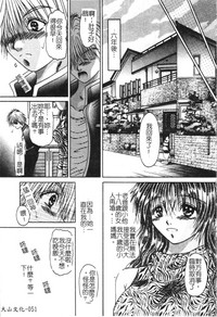 第54頁圖