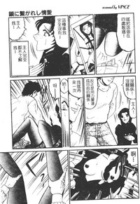 第82頁圖
