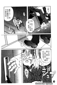 第146頁圖
