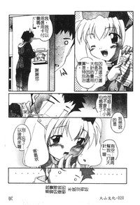 第22頁圖