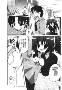 第46頁圖