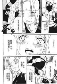 第66頁圖