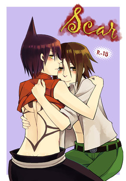 Scar图