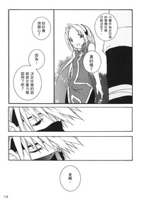 第114页图