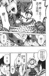 第42頁圖