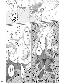 第30頁圖