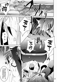 第14頁圖