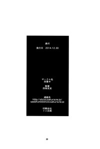 第22页图