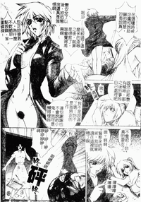 第178頁圖