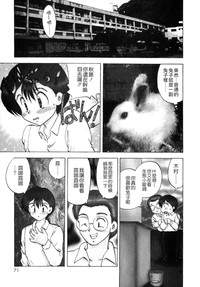 第70頁圖