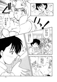 第78頁圖
