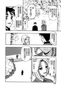 第178頁圖