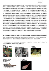 第22页图