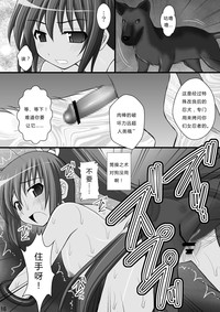 第14页图