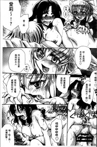 第182頁圖