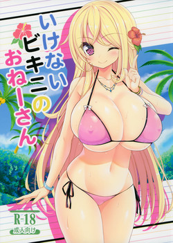いけないビキニのおねーさん圖
