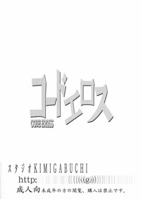 第34頁圖