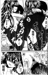 第206頁圖