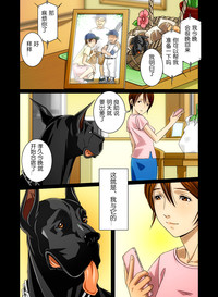 第42頁圖