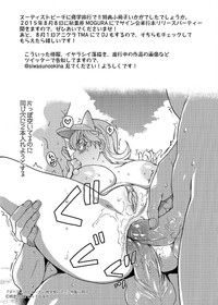 第238頁圖